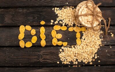 Co do kaszy jęczmiennej pasuje na obiad?