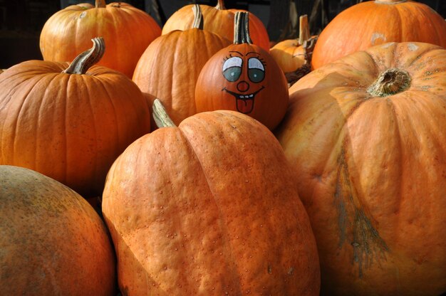 Co zrobić z dyni po Halloween?