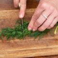Jak działa koper włoski w codziennej diecie?