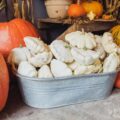 Jak przechować dynię na zimę, żeby zachowała świeżość?