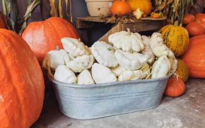 Jak przechować dynię na zimę, żeby zachowała świeżość?