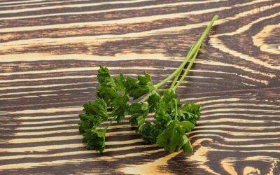 Lubczyk jakie stanowisko będzie dla niego odpowiednie?