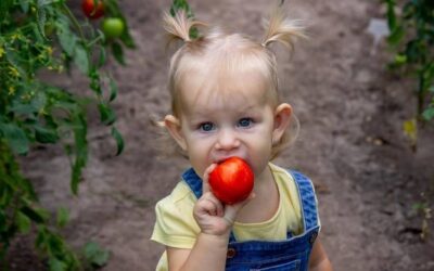 Pomidor kiedy podać niemowlakowi i na co zwrócić uwagę?