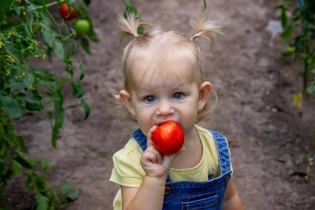 Pomidor kiedy podać niemowlakowi i na co zwrócić uwagę?